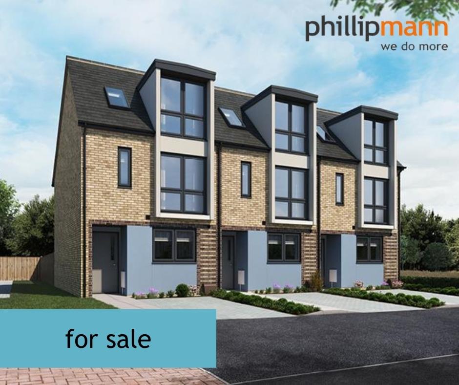 Phillip Mann tweet media