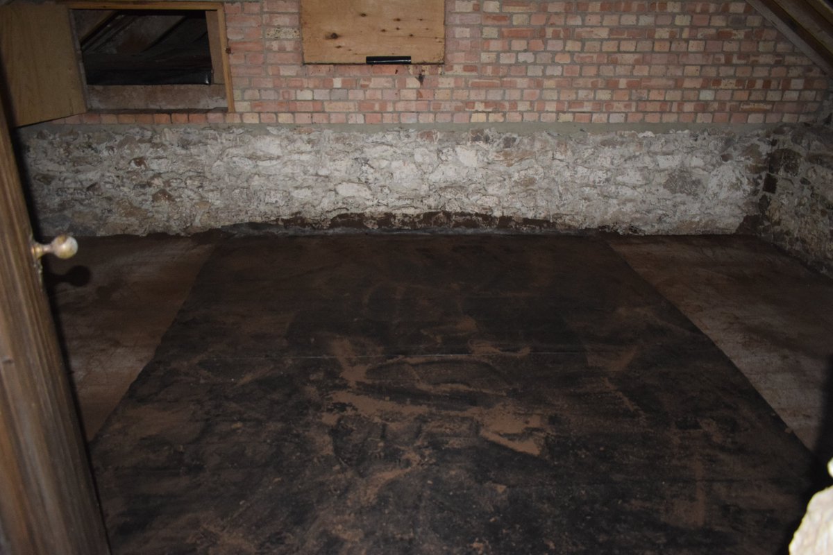 Ever wondered how much guano can build up in a nature reserve for bats in the UK? Quite a bit... 💩🦇💩