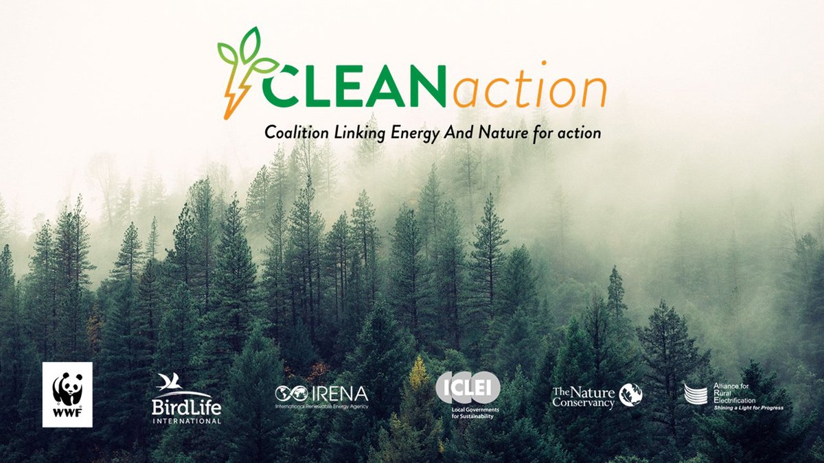 📣 ARE is excited to be part of the <a href="/_CLEANaction/">CLEANaction</a> coalition which aims to ensure that the impacts on nature are considered during the global #EnergyTransition.

Read more 👉 ruralelec.org/news-from-are/…

#NatureConservation | #SustainableEnergy | #ClimateAction