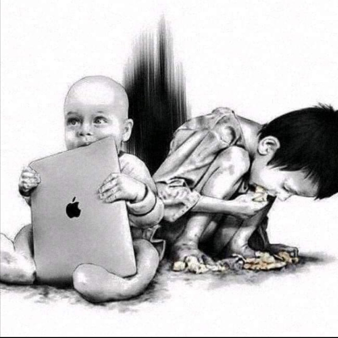 Stefan ₿rogli tweet media