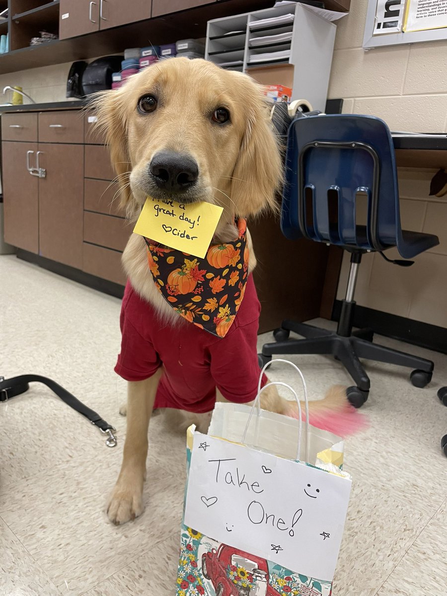 Welcome to our twitter account! This is Cider, she’s a multipurpose service dog! Her tasks are a mix of medical alert, psychiatric, and when she’s 2 she’ll help with mobility! This picture was from when we brought around a bag of sunshine notes at school 🥰