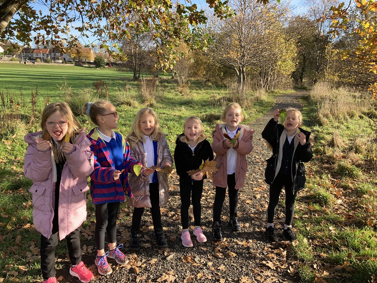 tillyps's tweet photo. After listening to ‘I am going on a leaf hunt,’ by @SMetzgerbooks we went on our own leaf hunt. We founds lots of different leaves and sorted them by colour, size and shape. @BookWeekScot @ClacksOL #autumn #workingtogether https://t.co/Qo2Cja5aT1