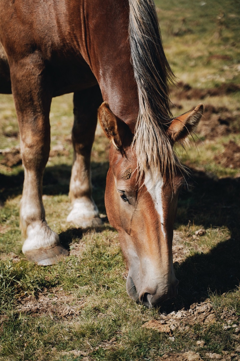 La stagione perfetta per un weekend romantico in #Abruzzo / La guida completa: bit.ly/3HpZUvC