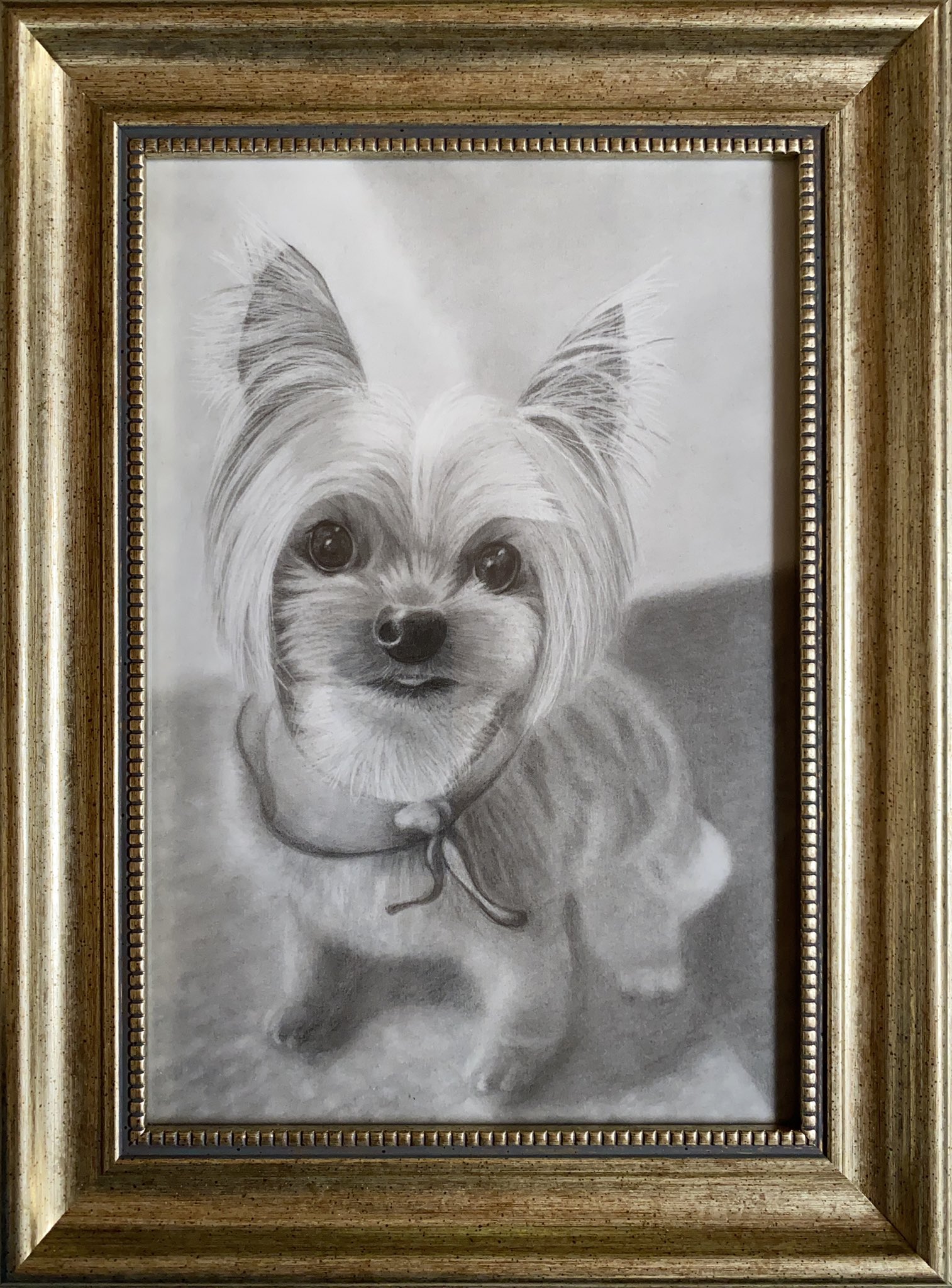 まる きままに鉛筆画 親友の愛犬に愛を込めて ヨークシャーテリア 犬 愛犬 趣味 鉛筆画 鉛筆画イラスト 鉛筆画アート 人物画 絵 鉛筆 イラスト アート Pencil Pencildrawing Art Uni Staedtler T Co X3uiegaxmz Twitter