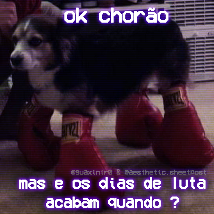 guaxiniro's tweet photo. https://t.co/uHSmGxoy7K