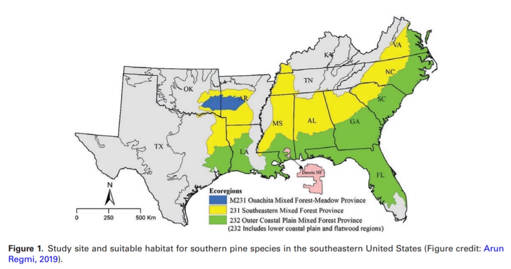 In this new #JOF advance article, members of <a href="/MSU_Forestry/">MSU Forestry</a> and <a href="/usfs_srs/">Southern Research</a> share their research into price premium requirements for growing higher quality pine strawtimber in even-aged systems in the southeastern US. 

ow.ly/Lyfy50GCHwY 

#SAFJournals <a href="/OUPAcademic/">Oxford Academic</a>