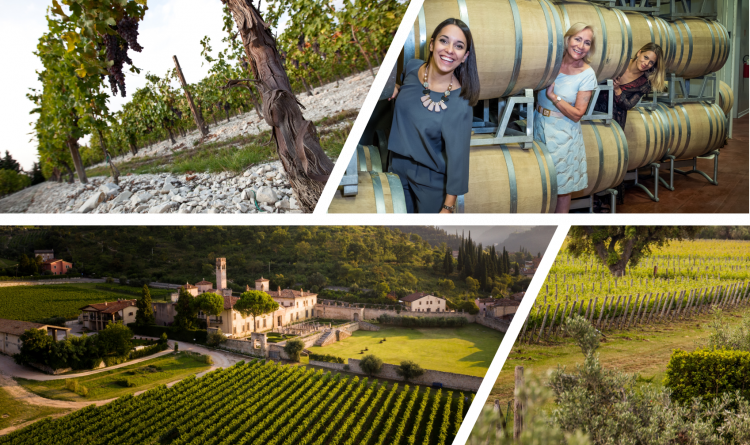 ItalianQuality's tweet photo. Let's get to know one of the 2019 Leonardo Italian Quality Awards 👉@AllegriniGroup
An #Italian family company dedicated for over four hundred years to the production of #wine and the promotion of #Valpolicella in the world. 🇮🇹🌍
Go to the news👉 https://t.co/Lum8BgNlHJ https://t.co/3znqgr9xo0