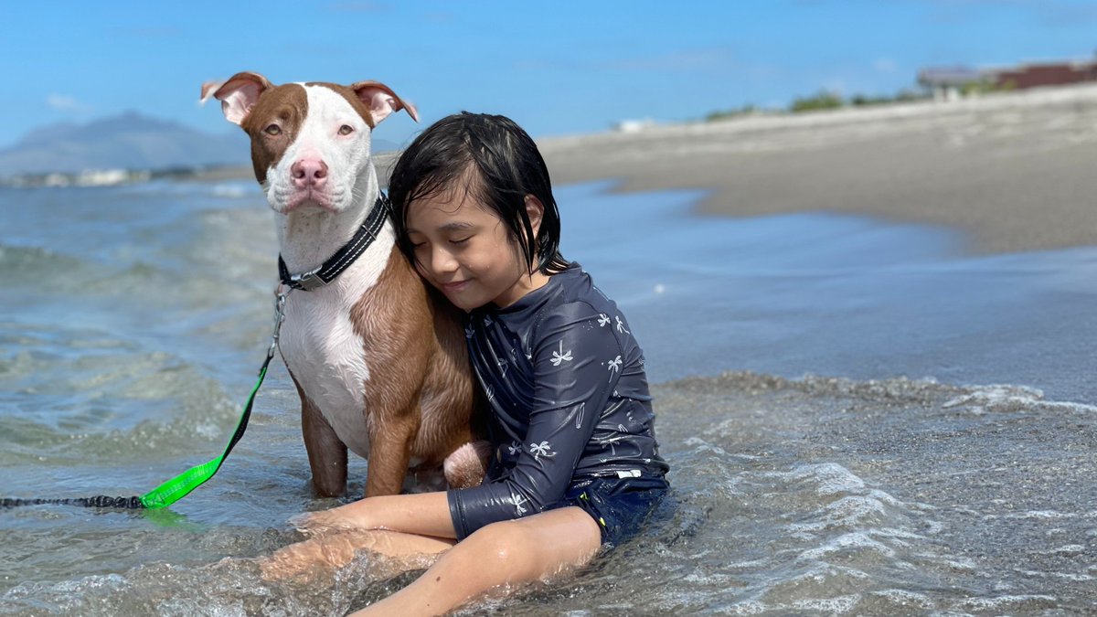 WeAreCisco's tweet photo. When leadership gives you a Day For Me, you spend it at your happy place.
Myrene is a business development manager & her son Max's biggest wish was to sit on the beach with their dog Harvey and get hit by the waves.
A successful day recharging for all! #CiscoKids #CiscoPets 😍 https://t.co/FgZTxLq7yY