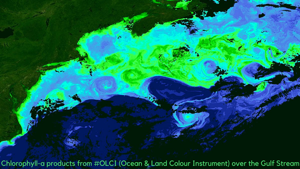 RUS_Copernicus's tweet photo. Chlorophyll-a measurements provided by #OLCI cover many applications in #marine ecology like ecosystem modelling, fisheries management &amp; monitoring of #water quality.

#RUSTraining for Gulf Stream monitoring with #Sentinel3 data 🇪🇺🛰️

Details to enroll on🔗https://t.co/gJTFK367ro https://t.co/v5W8Majgk4