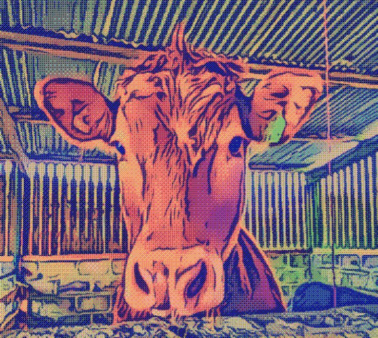 Smithy5092's tweet photo. @NFTcryptoart_ https://t.co/RBclcuLzfQ https://t.co/fHjGNnWnC5
