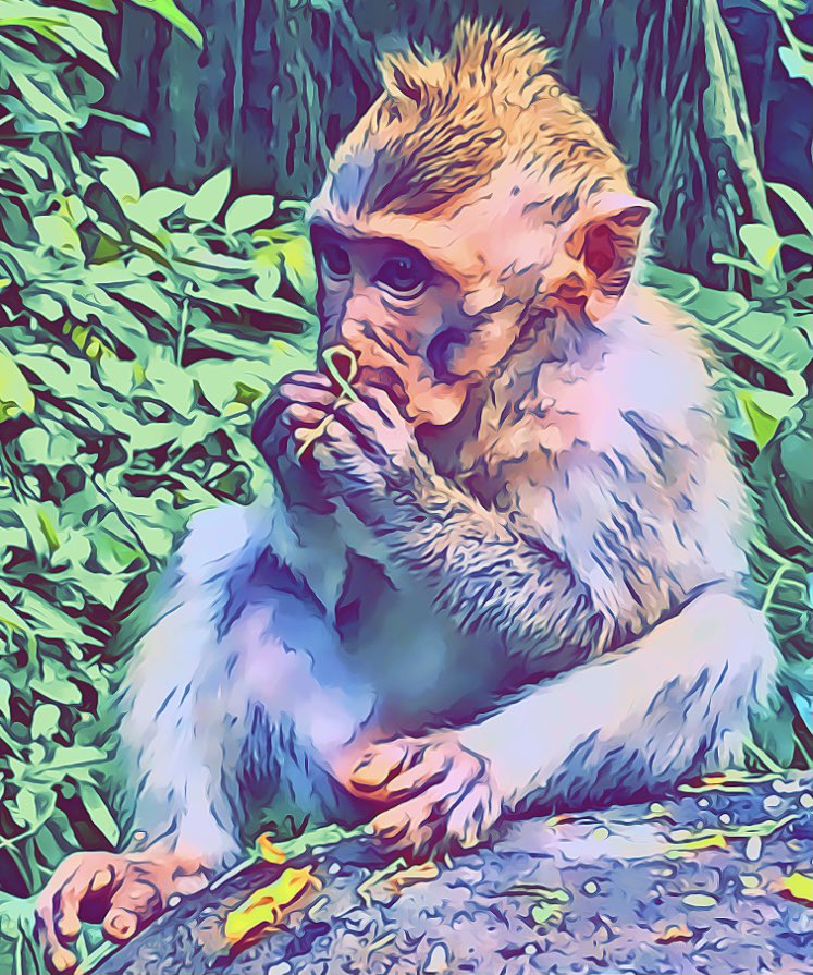 Smithy5092's tweet photo. @NFTcryptoart_ https://t.co/RBclcuLzfQ https://t.co/fHjGNnWnC5