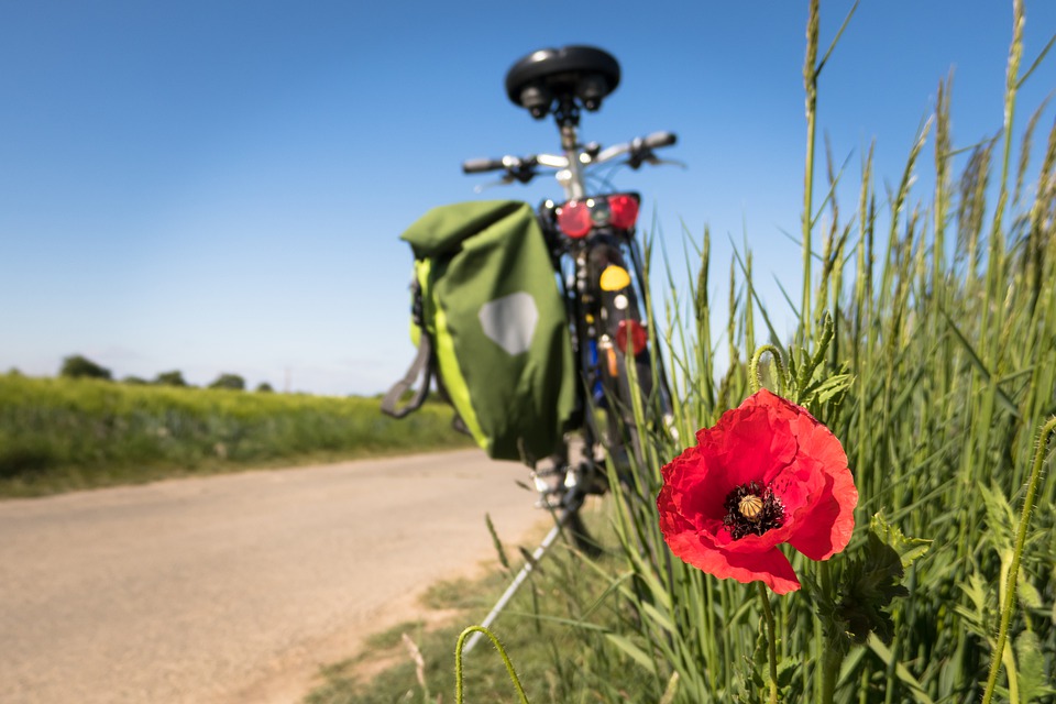 aroundaboutbrit's tweet photo. Coed Cottage Self Catering and Campsite offers a range of accommodation in Llanfechell. Walking & cycling are great ways to explore this wonderful area.
https://t.co/Ccz6cLNls4
#Holiday #Campsite #Family #Pets #Walking #Cycling #Rural #Beach #Llanfechell #CemaesBay #Anglesey https://t.co/P8p0jxr3vm