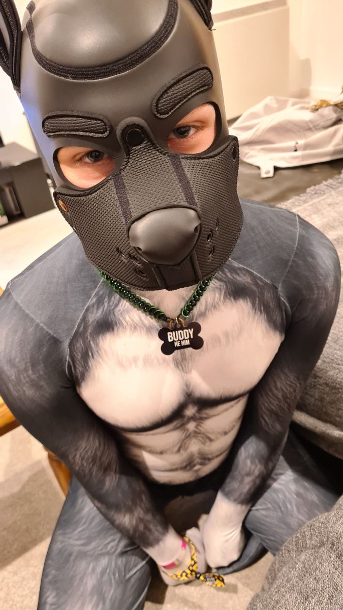 BuddyThePup1's tweet photo. Hello!

This is just an account of a little stupid puppy 🐶

Expect to see:
Pup play
Chastity
Rubber
ABDL
And much much more

Enjoy! https://t.co/76Z0gQhSsX