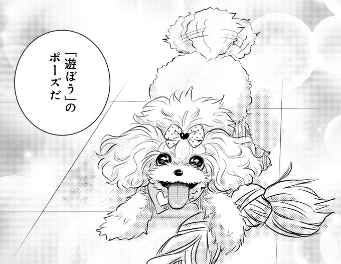 /
#DOGSIGNAL が11時11分をお知らせします🐶
\

今日の1枚はティアラの遊ぼうポーズ✨
ここに辿り着くまでには色々とありました…。
優子とティアラのエピソードはコミックス3巻&4巻に収録🌈未読の方は是非チェックしてみてください🐩

それでは今日も
#DOGSIGNAL をよろしくお願いします😀 