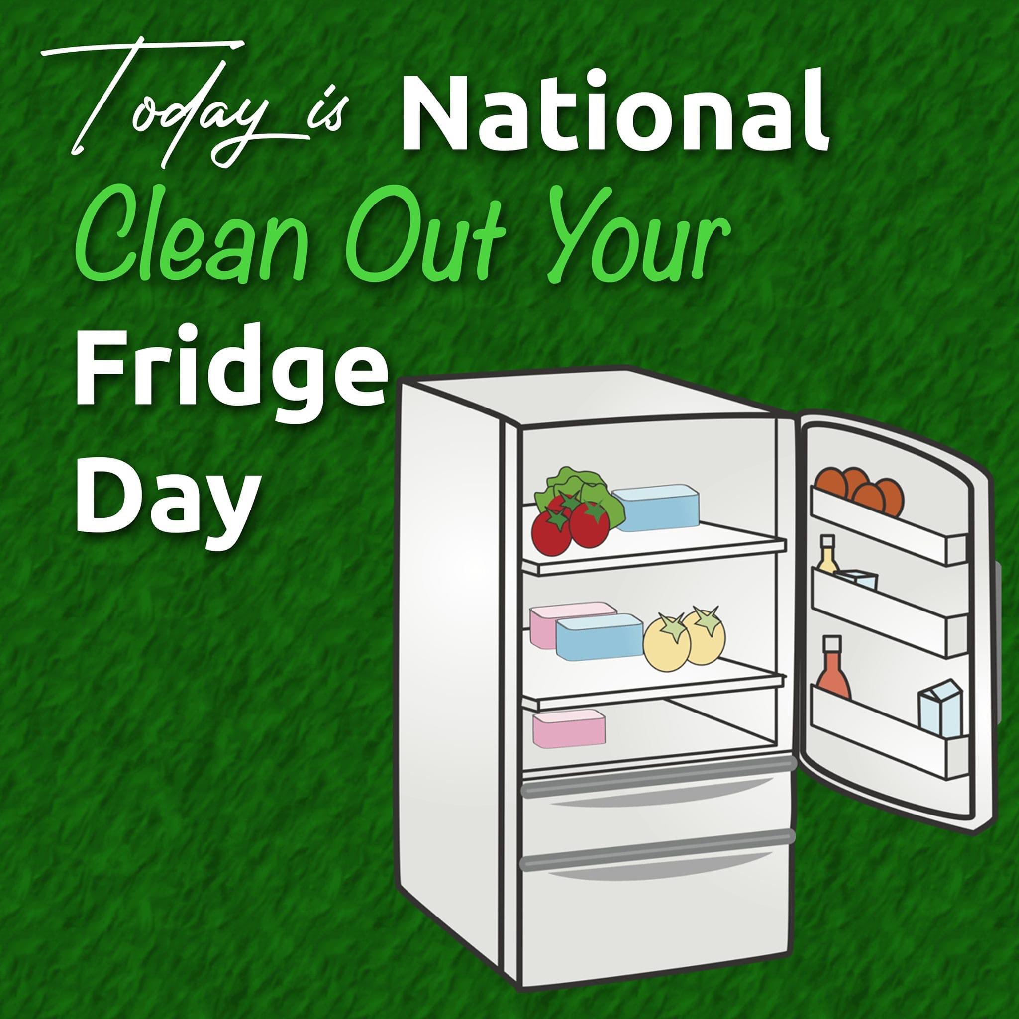 Re Quick Pot Sticker Soup Page 4,222 Blogs & Forums