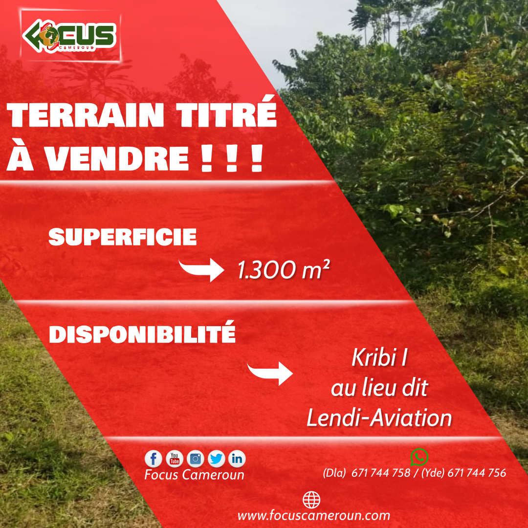 FocusCameroun's tweet photo. 🔴[ OPPORTUNITE D'ACHAT ! ! ! ]

🎯 TERRAIN TITRE situé à Kribi 1ier au lieu dit Lendi-Aviation et d'une superficie de 1.300 m² à vendre !!!

Pour plus d'informations, contactez nous et dites "Focus terrain".

#FocusCameroun
#Yaounde
#vendezvotreterrain
#achetezunterrain https://t.co/uUCb3ybEc8