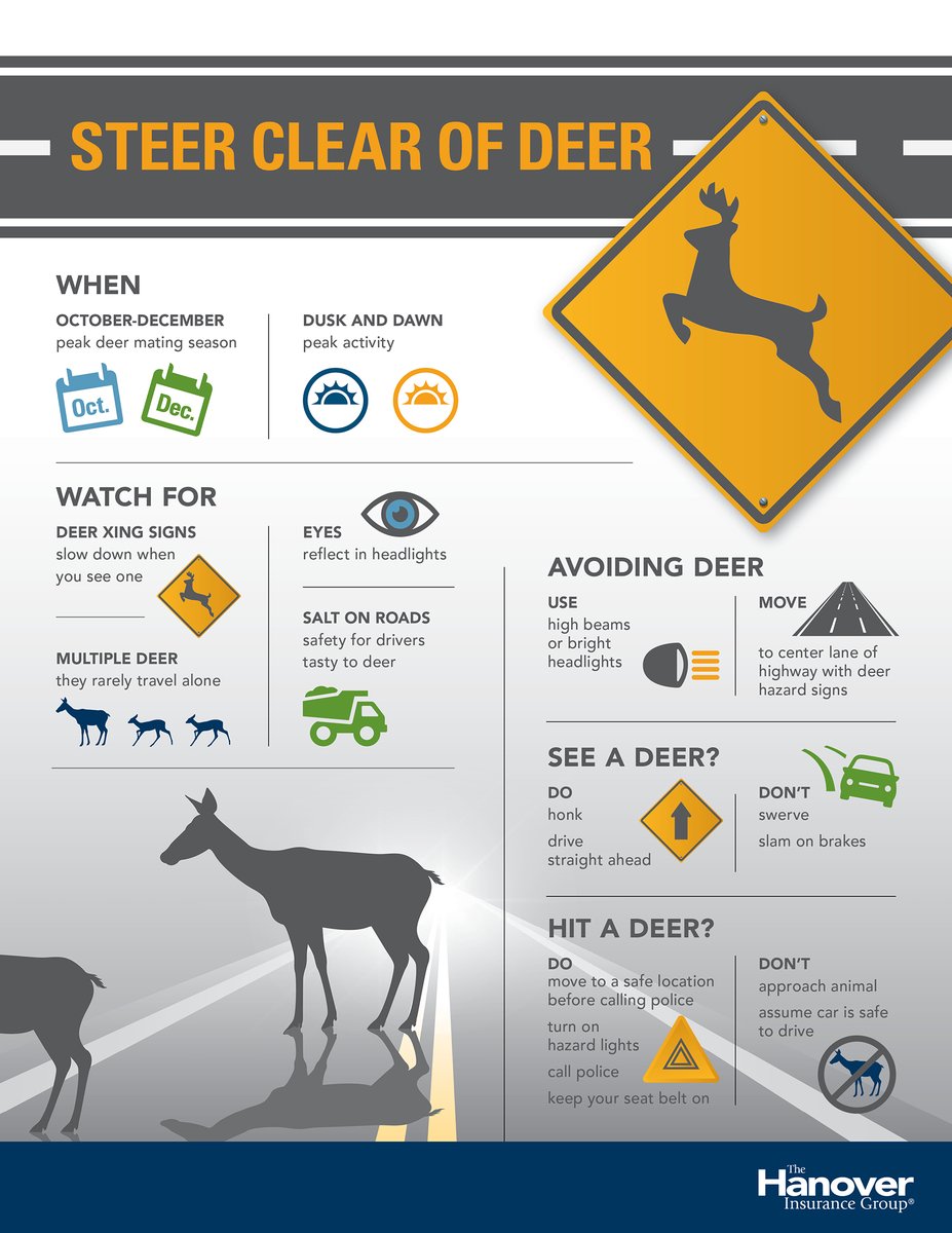 The number of accidents involving deer each morning is steadily increasing.  Here are some tips on how to avoid deer and what to do if you hit one.