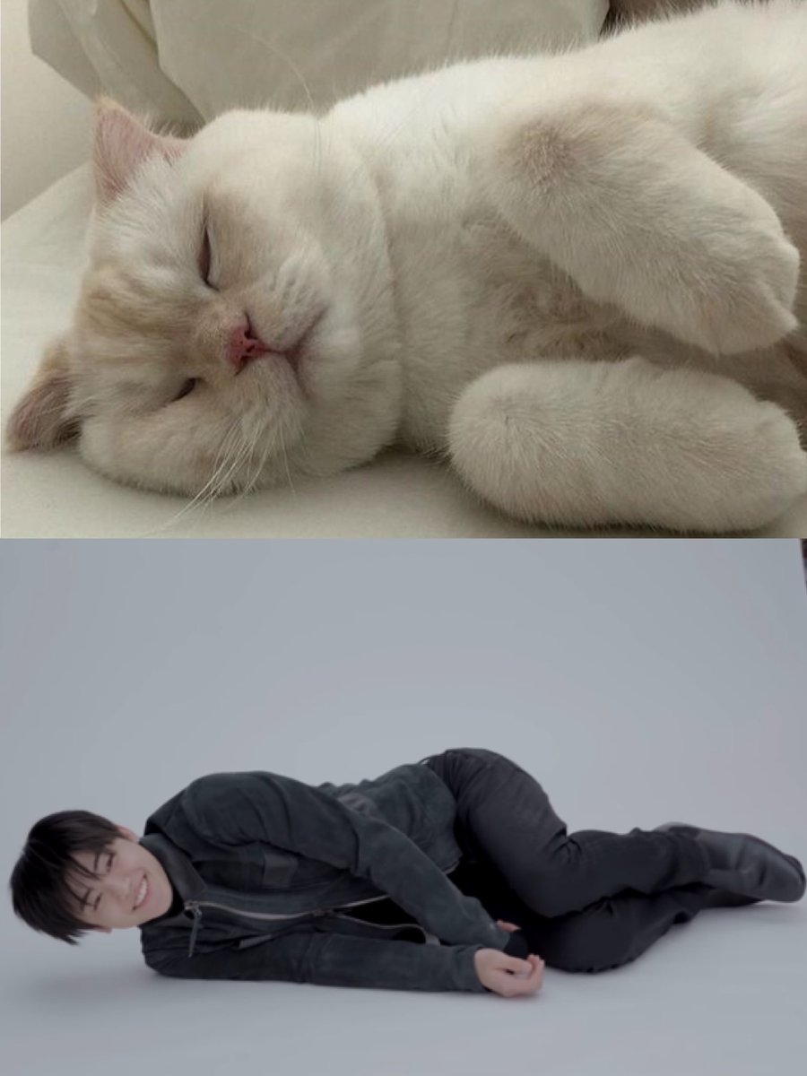 ลีน่าจ๋า ♡ tweet media