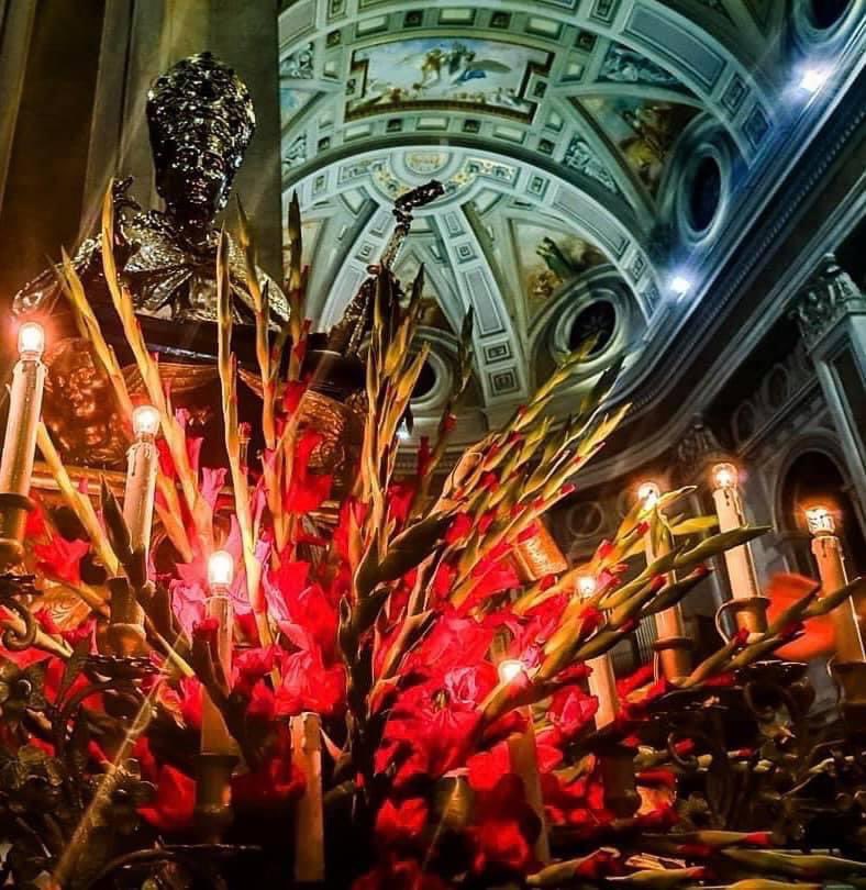 CTrinchese's tweet photo. 15 novembre, San Felice Vescovo e Patrono di #Nola. Auguri alla nostra Città❣️ https://t.co/dVgyVuC1zz
