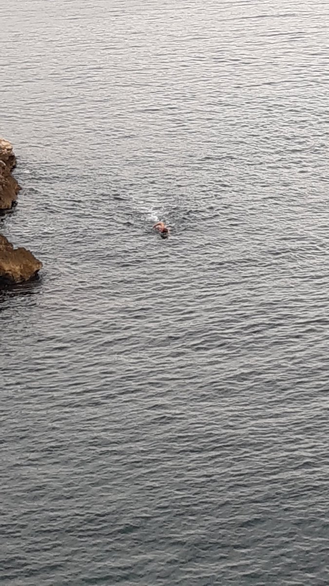 meca_brain's tweet photo. One of us was brave enough to go swimming. Go @YannickBecker7 ! https://t.co/dQaULUmLqV