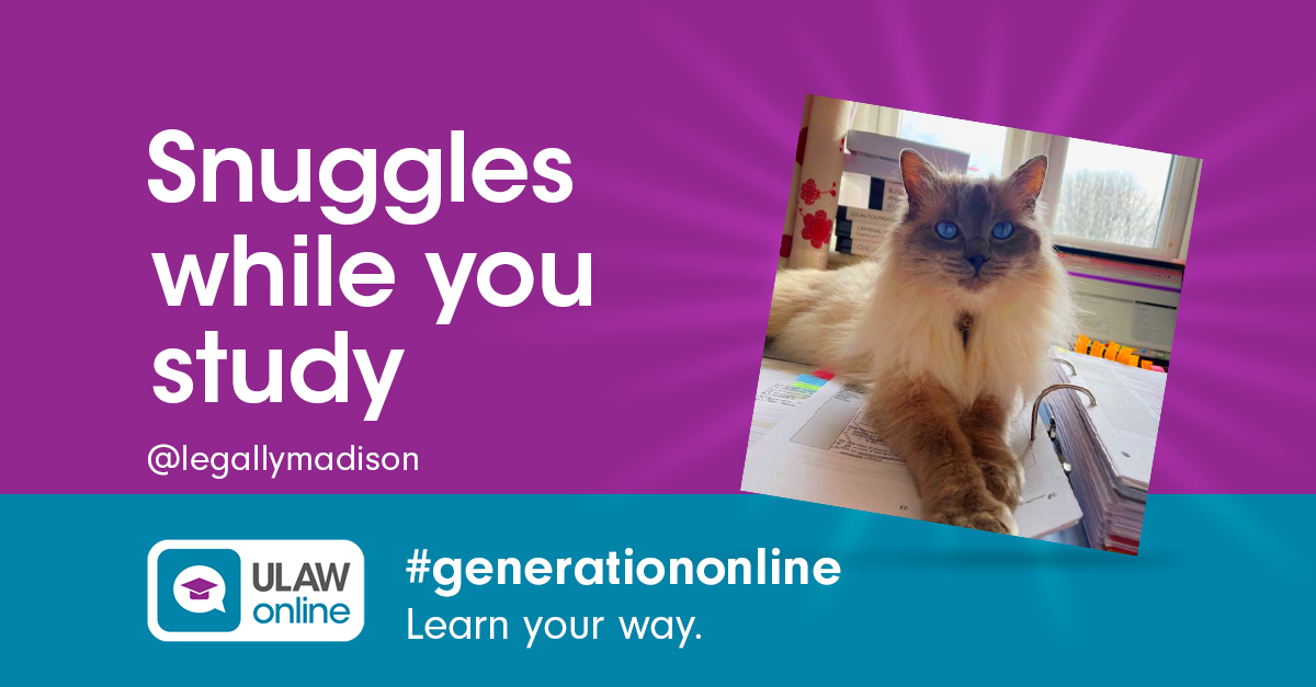 UniversityofLaw's tweet photo. 🐱 🐶 Got a study buddy? Choose the no-commute study option #GenerationOnline
Learn anywhere. Learn online. Learn your way.
👉 Find out more: https://t.co/0pri02UDvq https://t.co/e97nxtqpzM