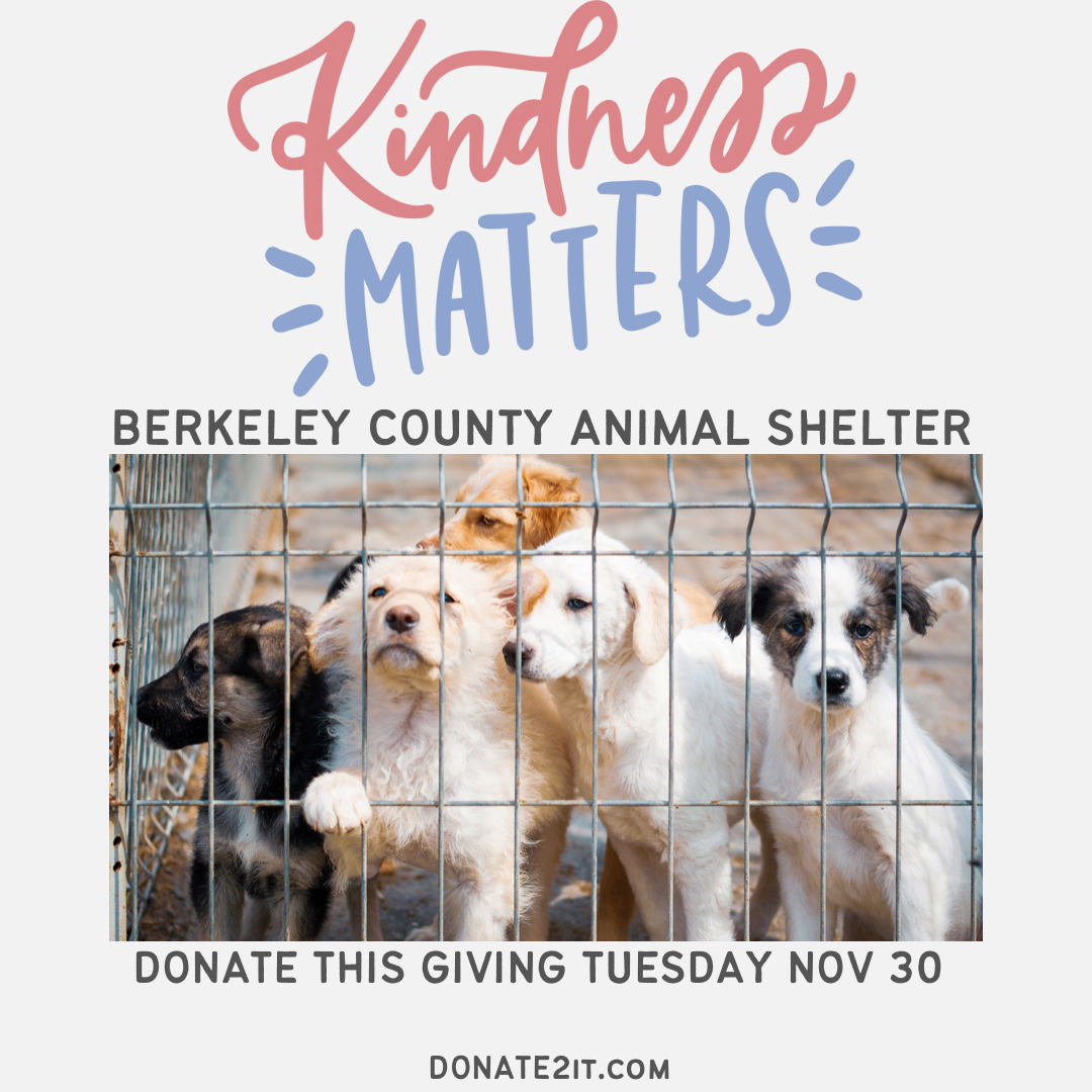 donate2it's tweet photo. The employees and volunteers of the Berkeley Animal Center are passionate about the care of animals and we are here to help them provide it. They need your help to fundraise for their ever growing needs. Donate today, or in 2 weeks for Giving Tuesday!  

https://t.co/cYqcqRcJmS https://t.co/cq2IwJwpWc