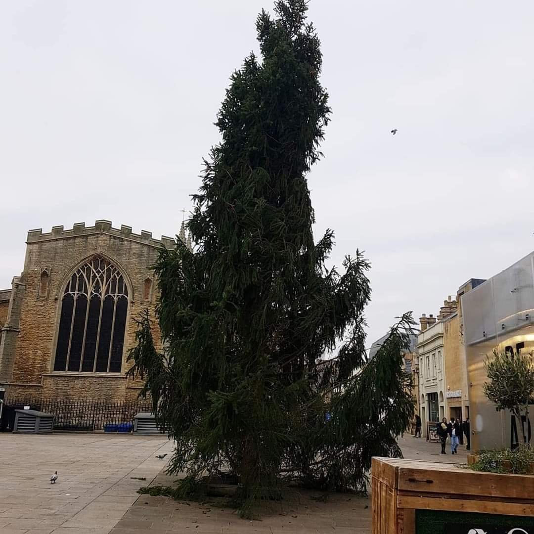 RealDarrenBB's tweet photo. @BBCCambs @peterboroughtel You Really Have To Give @PeterboroughCC A Massive 👏 &amp; Say Well Done!!! 🤔 The State of The 2021 City Centre Christmas Tree looks an Absolute State!! #ProudOfPeterborough @paulbristow79 Are They? It looks like it’s been pulled through a hedge backwards! https://t.co/xq7yUvAMH5