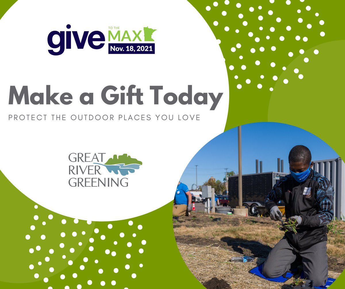 greatrivergreen's tweet photo. We're restoring an ADDITIONAL 30 natural areas over the next year. But we need YOU to get there. Help us raise $10,000 between now and #givetothemaxday on Thursday, November 18.
https://t.co/fvWmkYqBHK
#GiveMN #RestoreMN #GTMD21 https://t.co/lC2E0gIG28