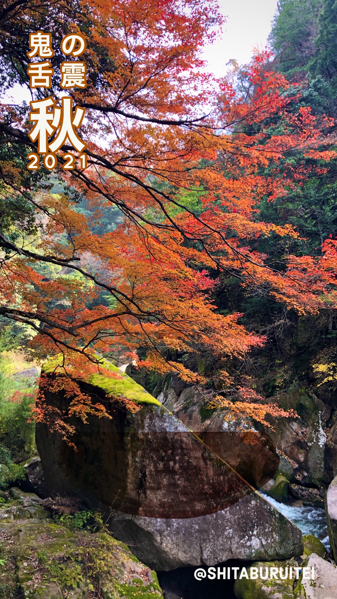 舌震亭 島根 奥出雲 鬼の舌震 鬼の舌震 紅葉 散り始めていますが 場所によってはまだいい感じですー 日陰は寒いので 暖かくしておいでください 奥出雲 島根 紅葉 T Co Q0xztz4m3x Twitter