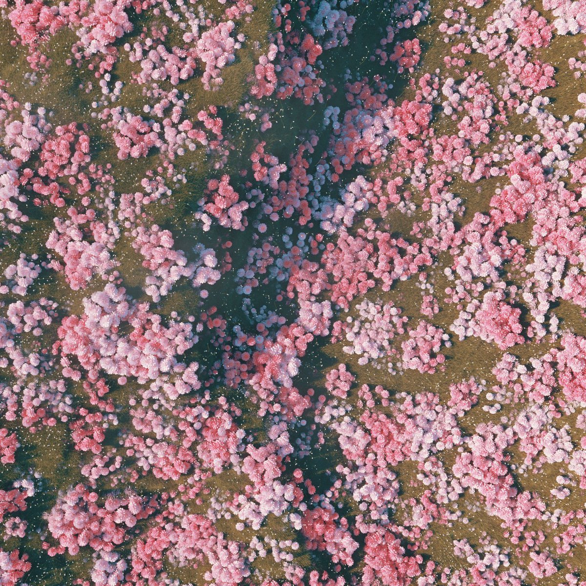 molistudio's tweet photo. Currently 13 bids on Ocean! Super happy about your interest in this piece! 🥳
Last bids from #ahdm and #sashahb (I couldn't find you guys, lemme know if you're around!).

🌸🌊 https://t.co/1DTHIKYf99

#NFTart #NFT #NFTs #NFTCommunity #cryptoart https://t.co/fDthBMIPmk
