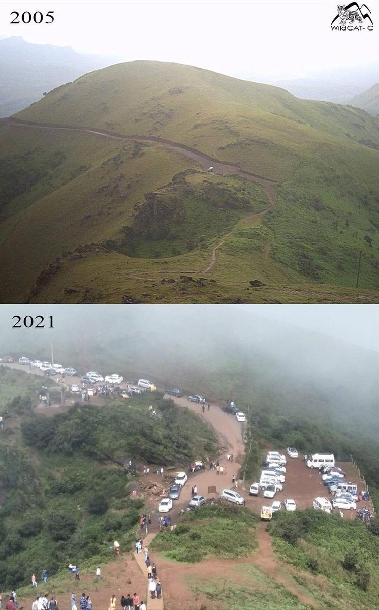 WildCAT-C tweet media