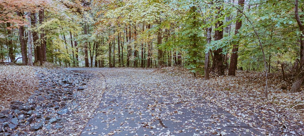 Change can be beautiful! #colorsoffall