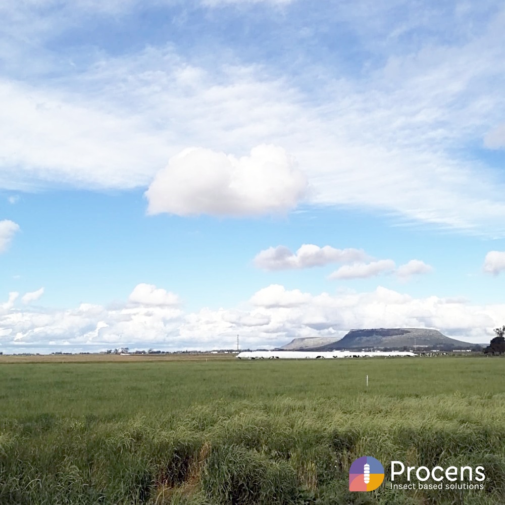 Procens1's tweet photo. Hace poco tiempo, el Concejo Deliberante de la ciudad de #Balcarce aprobó la compra del primer lote por parte de #Procens y una carta de intención entre el Municipio y nosotros para otorgarnos quince lotes más en el en el nuevo Parque Industrial de manera unanime. https://t.co/beNUglv0sQ