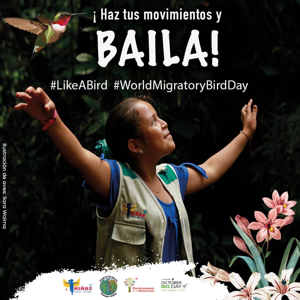 enviroamericas's tweet photo. Compartimos los mejores momentos de la celebración del Día Mundial de las Aves Migratorias en Nicaragua.
El programa Niñas con Alas realizo un maravillosa actividad con teatro, disfraces, música y pajareadas.
#WMBD2021 #DMAM2021 #SingFlySoar #LikeABird https://t.co/x8q4AybShI