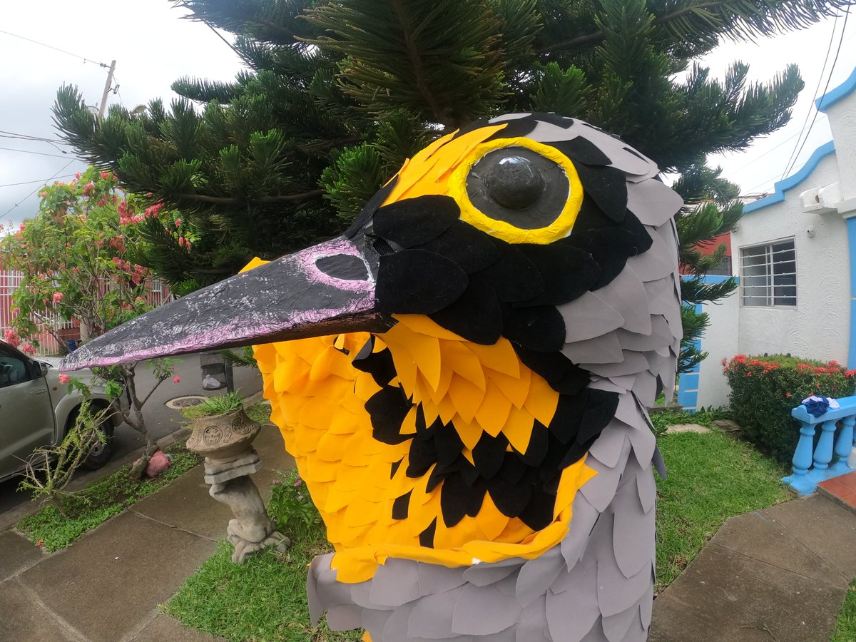 enviroamericas's tweet photo. Compartimos los mejores momentos de la celebración del Día Mundial de las Aves Migratorias en Nicaragua.
El programa Niñas con Alas realizo un maravillosa actividad con teatro, disfraces, música y pajareadas.
#WMBD2021 #DMAM2021 #SingFlySoar #LikeABird https://t.co/x8q4AybShI