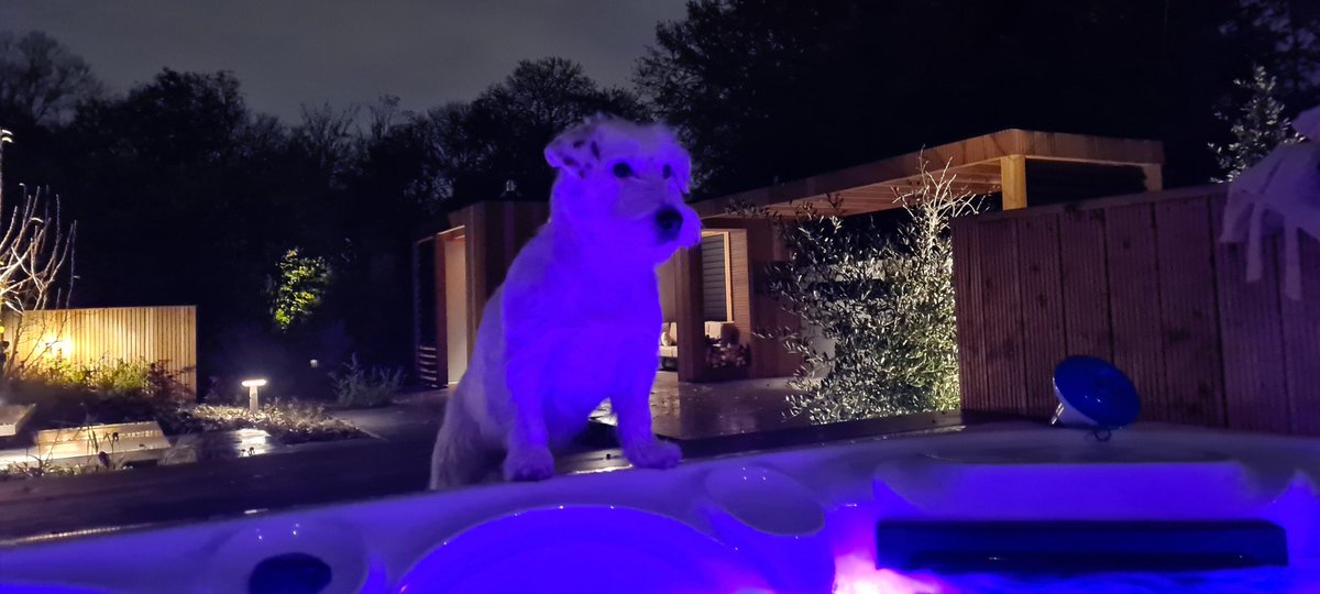 Die van ons wil er gewoon bij....