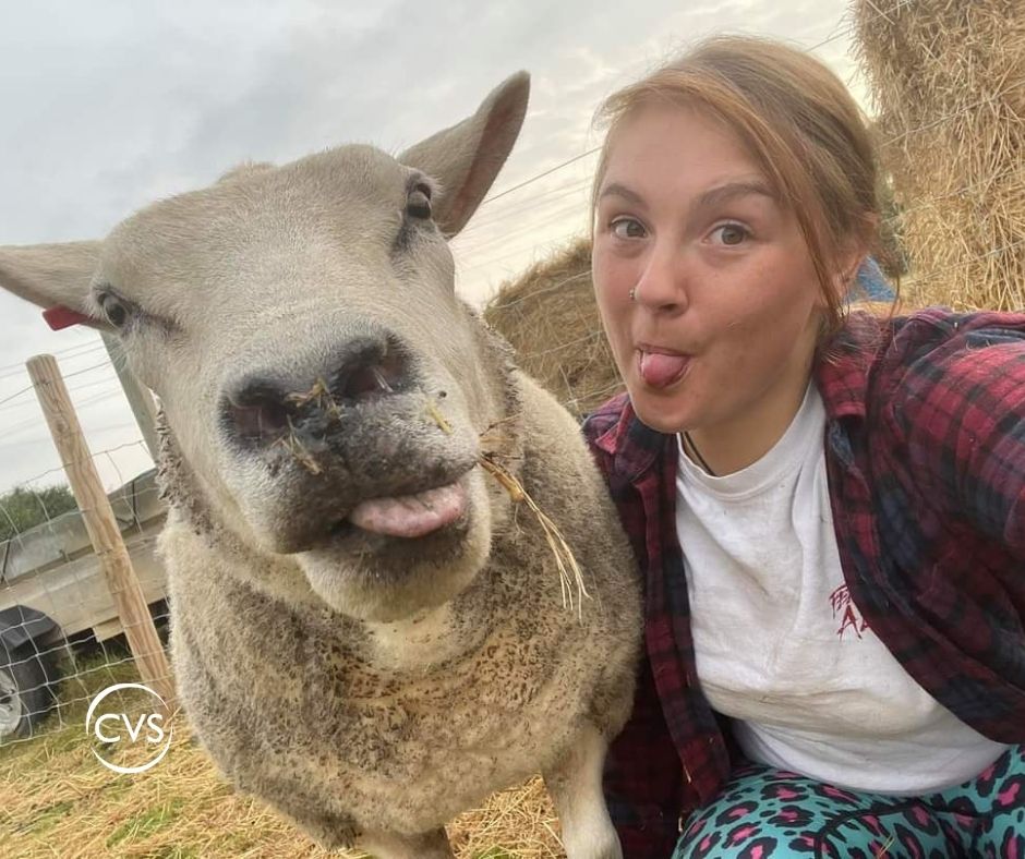 CVSGroupPlc's tweet photo. Best wishes to Stacey at Grove Veterinary Hospital and Clinics who has just started her career as a student veterinary nurse.
To find out more about how to start your career as a veterinary nurse, visit our careers page: https://t.co/rk1lGQl3Lx
#GreatPlaceToWork #PeoplePost https://t.co/4K0r0cfplG