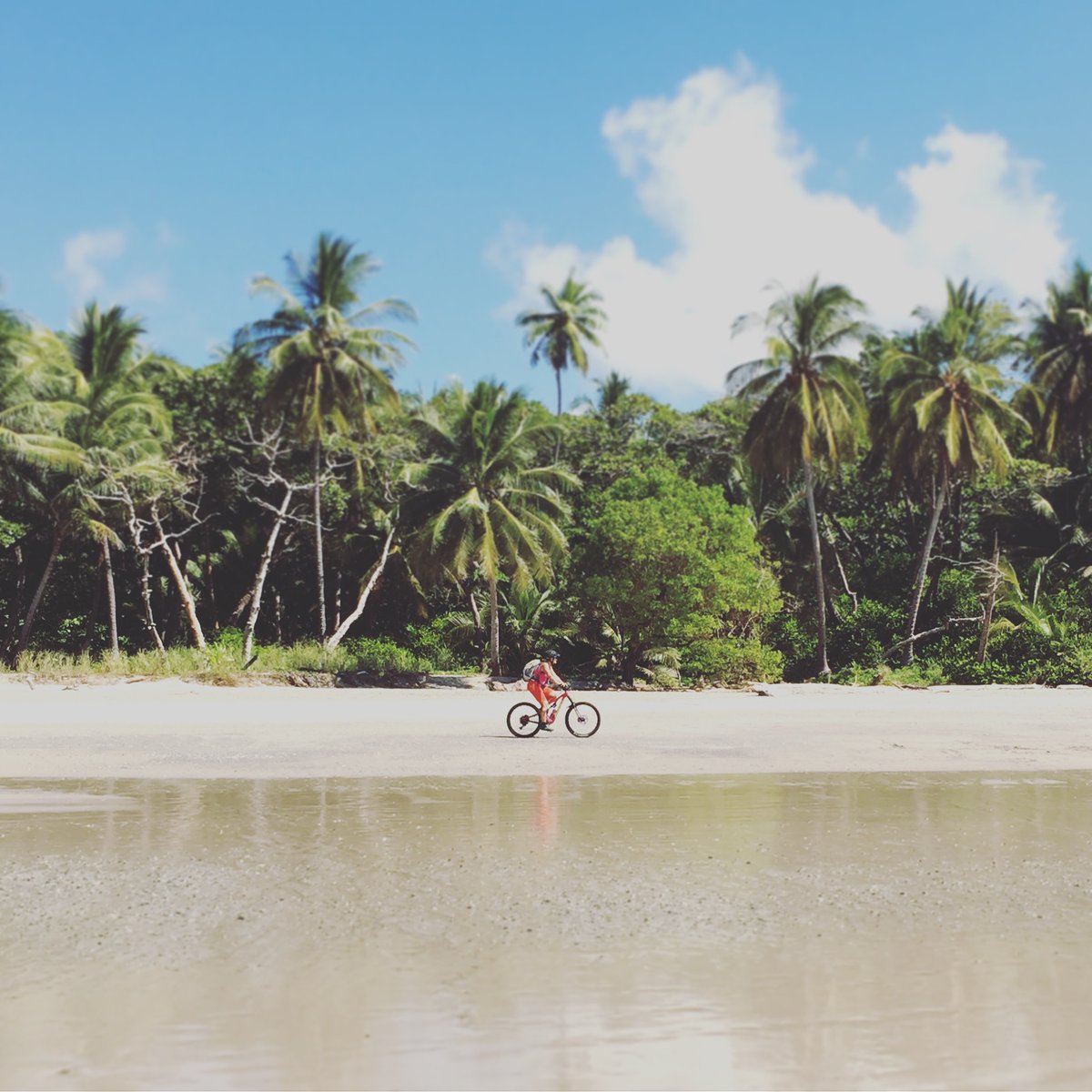 BatikRica's tweet photo. A carbon-free and healthy transportation 🚴‍♀️🚴
When you bike, you don't produce any air pollution and don't burn any nonrenewable resources.
Choose bike to discover our beautiful beaches 🤙

#CostaRica #bikers #sports #travel #mondaymood https://t.co/axXM4QHYcq