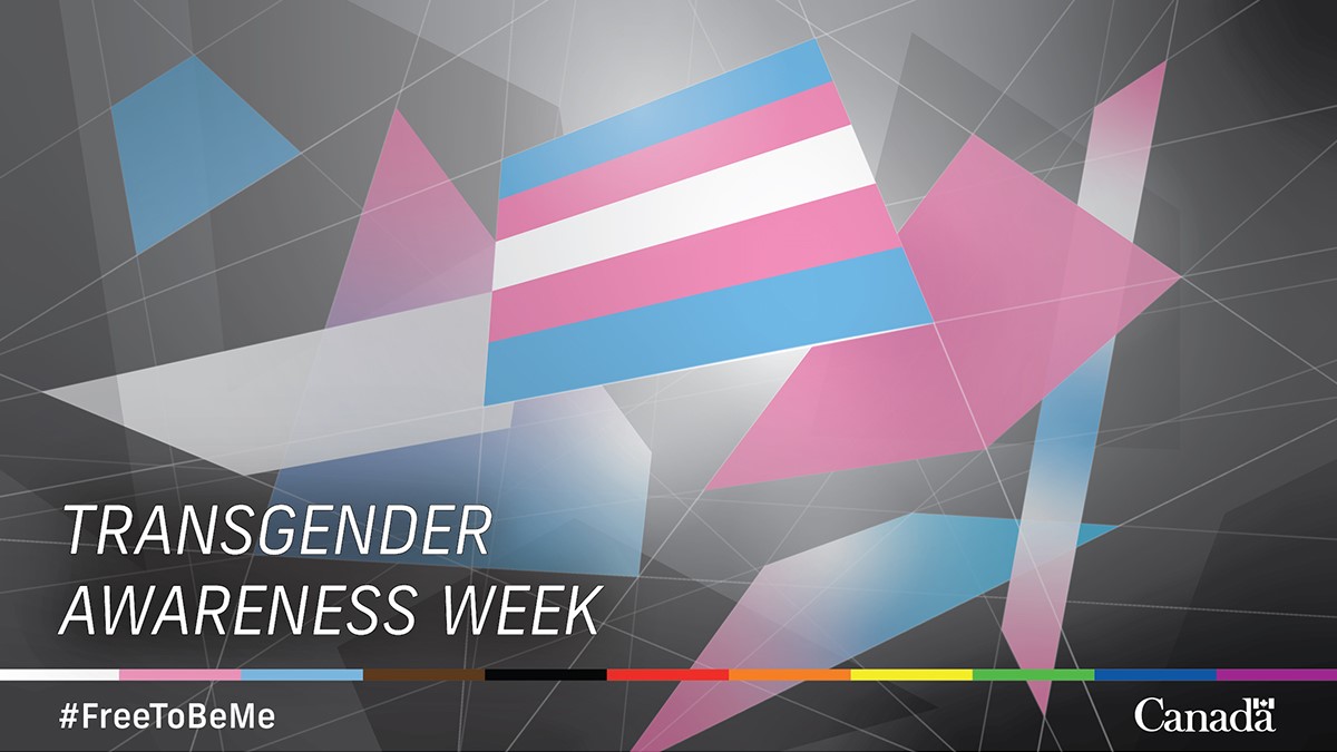 This week is #TransgenderAwarenessWeek. 

Let’s be effective #allies by raising awareness and visibility on the many lived realities of trans people around the world and in the #publicservice 🏳️‍⚧️