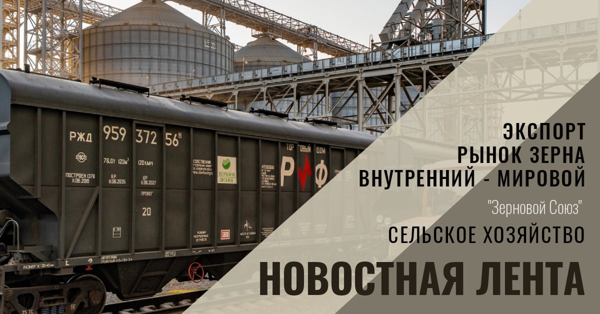 USDA прогнозирует, что к 2021/2022 среднесезонная цена на пшеницу в сельском хозяйстве вырастет до девятилетнего максимума на фоне устойчивых фьючерсов...
другие новости t.me/zernoinfo21/18…