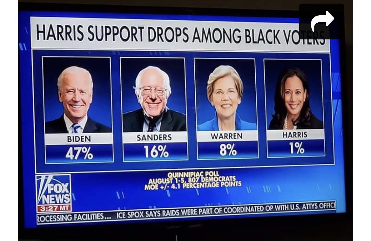 Revolutionary Blackout Network🥋 on Twitter "Liberals legit think that