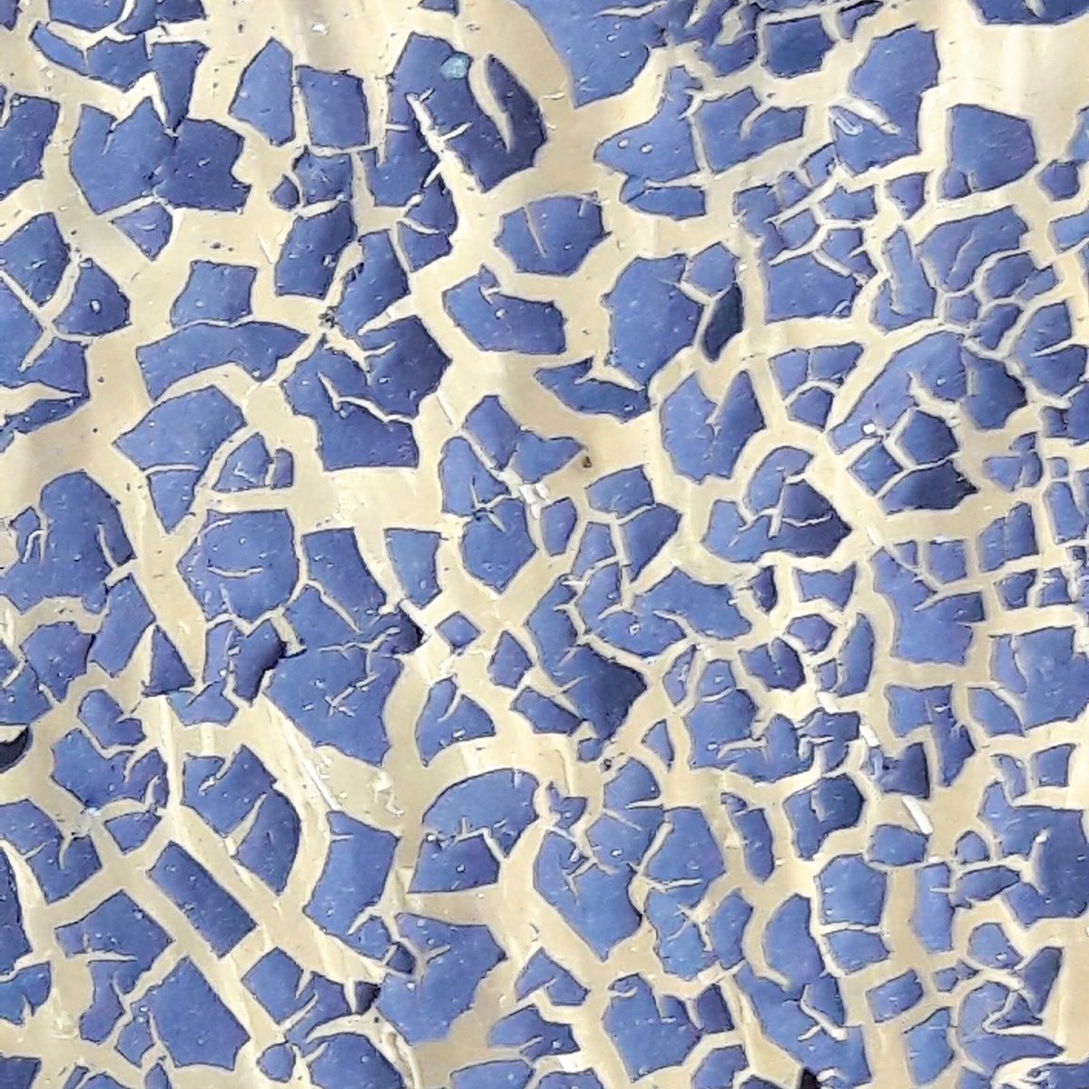 Teresinha Roberts tweet media