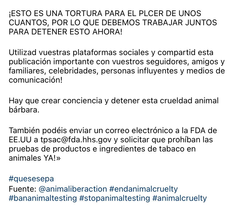 esdecirdiario's tweet photo. ¿Sabías que todavía se siguen probando los cigarrillos en animales? 

El tabaco de casi todas las marcas se prueba en animales: gatos, perros, hámsters, cerdos, conejos y monos. 

Se ven obligados a fumar entre 6 y 10 horas al día, ¡a veces de 5 a 7 días a la semana! 
#quesesepa https://t.co/RJcT8js4lf