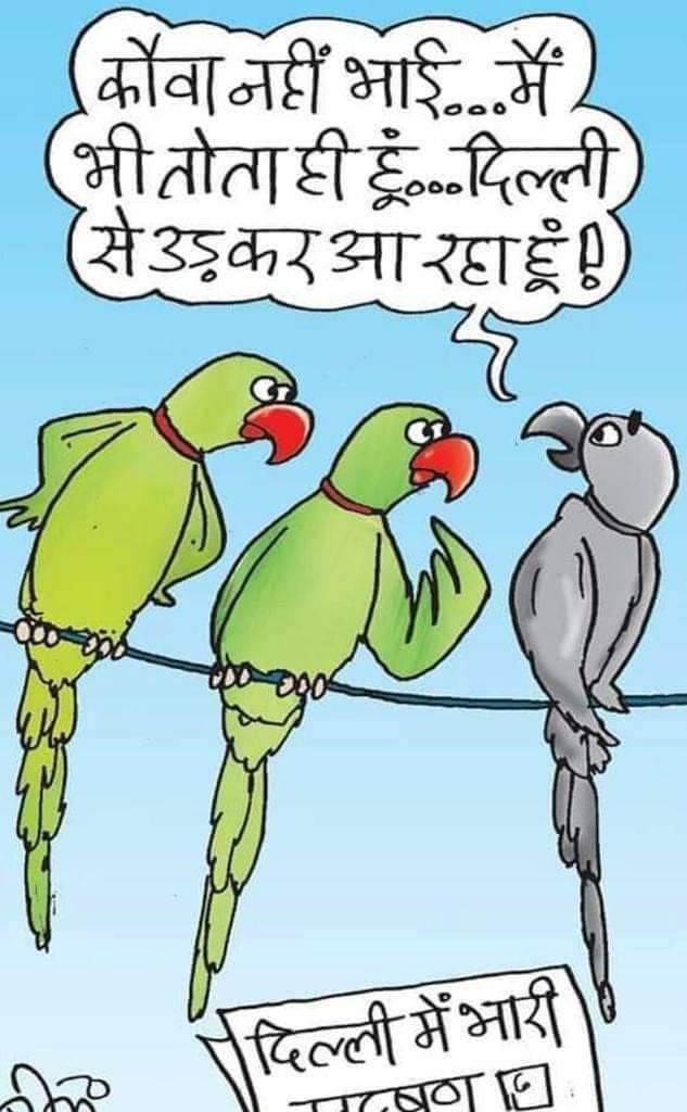naeemchoudhrymt's tweet photo. Ab to paridne bhi pareshan ho gye h,
#PollutionInDelhi 
Save delhi, help delhi, 
@ArvindKejriwal 
@PMOIndia 
@LtGovDelhi 
@SAjmalAIUDF 
@armstrongpame 
@AwanishSharan 
@ipsvijrk 
@suryapsingh_IAS 
@CPDelhi 
@CPCB_OFFICIAL 
@KirenRijiju 
@IASEverester 
@sonalgoelias 
#Helpdelhi https://t.co/na3UWJVxO6