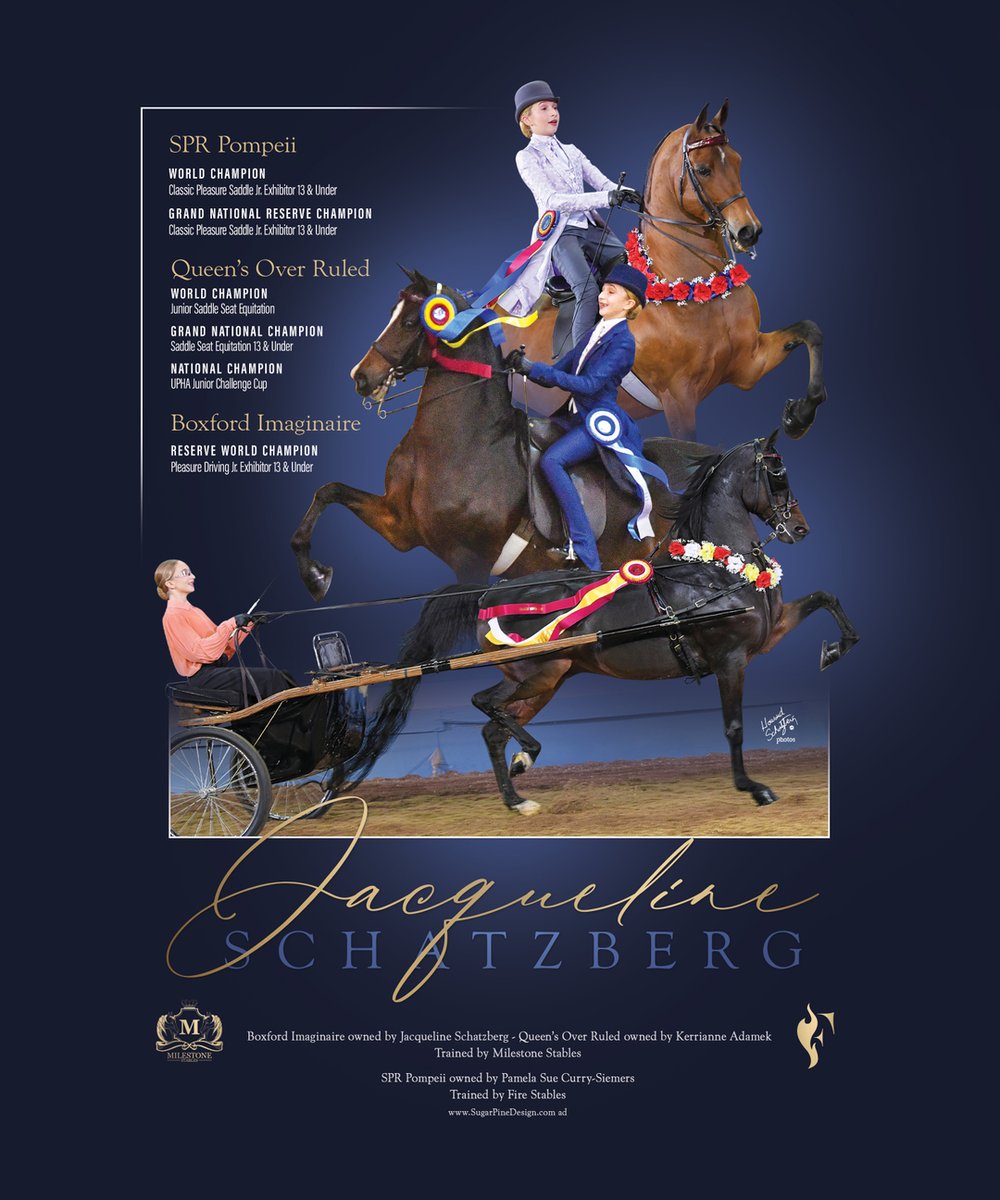 TNH1865's tweet photo. Jacqueline Schatzberg, with SPR Pompeii, Queen’s Over Ruled and Boxford Imaginaire, at Morgan Grand National
#nationalhorseman @morgangrandnational #jacquelineschatzberg @milestonestables @firestablesequestrian #classicpleasuresaddle #equitation #pleasuredriving #morganhorse https://t.co/AIGz4tdcOp