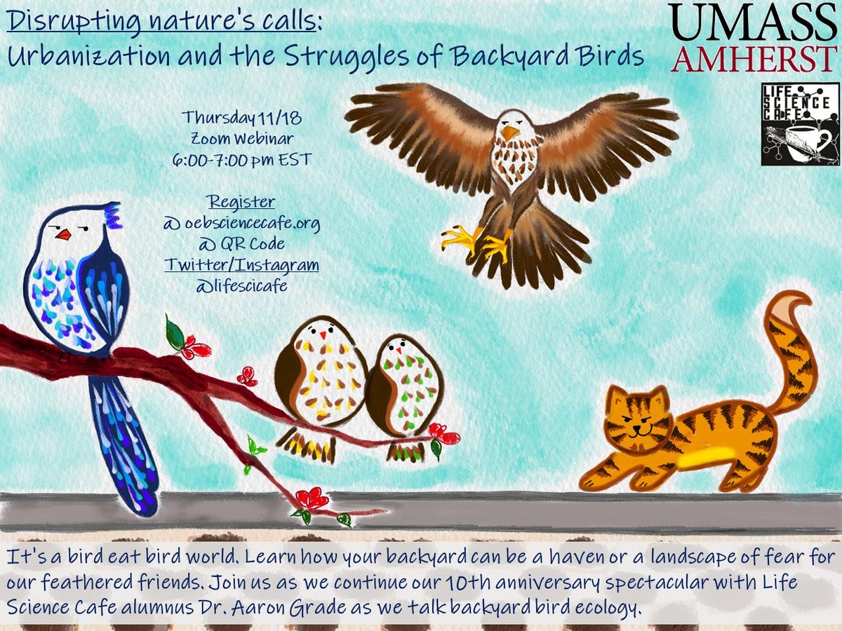 Put your feathers together: Life Science Cafe is back with another owl-some talk!
Join our former member Dr. @agradeeco and learn how our backyard can be a haven or a landscape of fear for birds 
Thursday 11/18 at 6pm EST 
Registration umass-amherst.zoom.us/webinar/regist…

#birds #scicomm