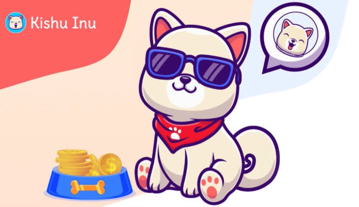 TraderPOPC's tweet photo. Will delete a zero this week @InuKishu #KISHU https://t.co/5ctRGfcOT9