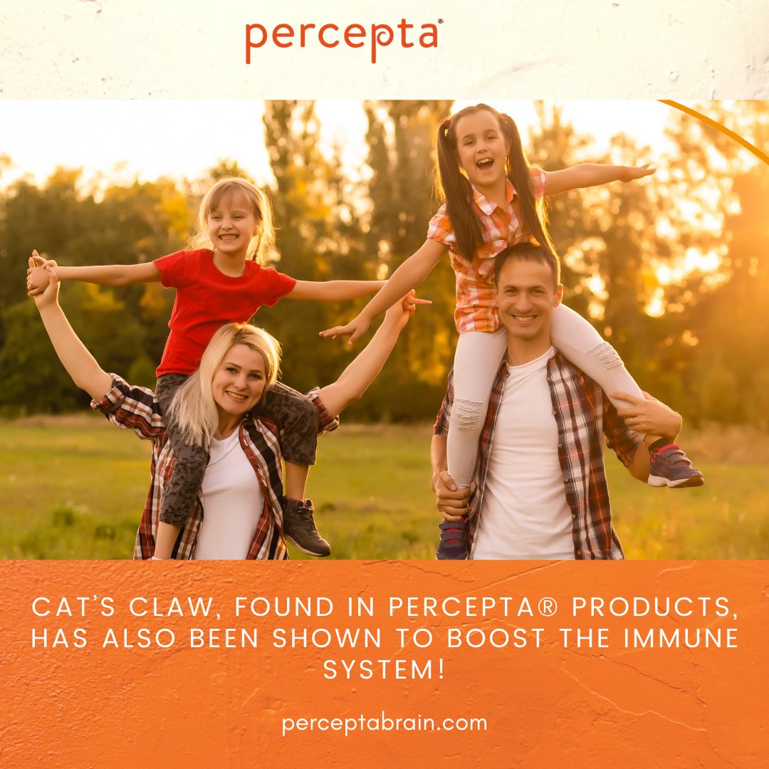 perceptabrain's tweet photo. Did you know that cat’s claw, one of the ingredients in #percepta has also been shown to support immunity? Learn more about cat’s claw and percepta® products at https://t.co/ZZ6i5bqb9h!
#immunity #immunityboost #catsclaw #uncariatomentosa #allnatural #plantbased https://t.co/lgFAu2WwBA