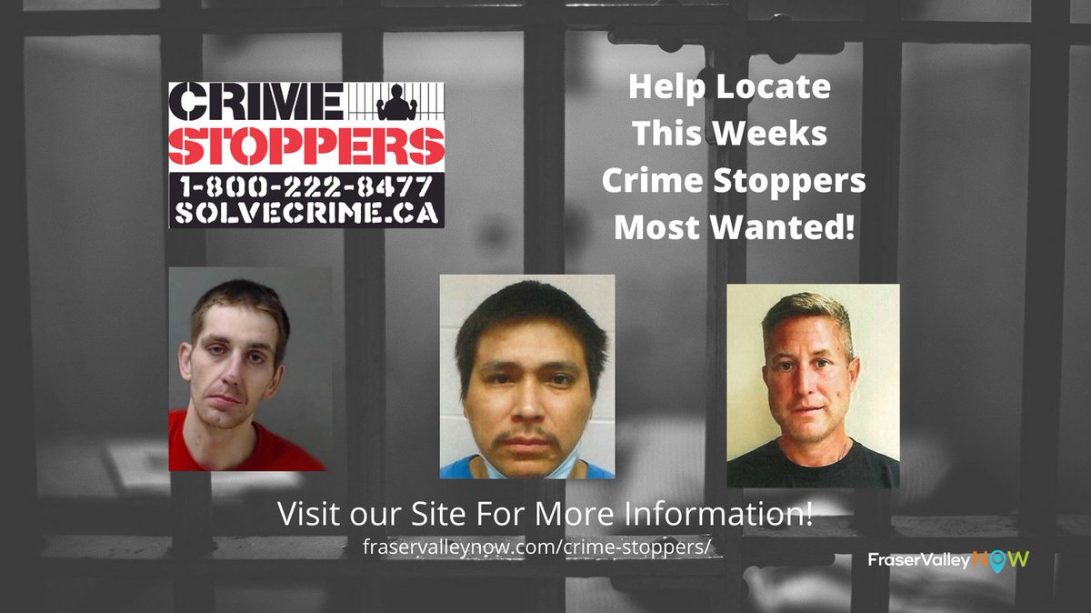 FraserValleyNow's tweet photo. Here are this week's Most Wanted from BC Crime Stoppers. Visit our website for more information. https://t.co/JLDmp4lHDx 
@FightCrimeBC  #crimestoppers #bccrime #fraservalleycrime https://t.co/G2WYBMSo5z
