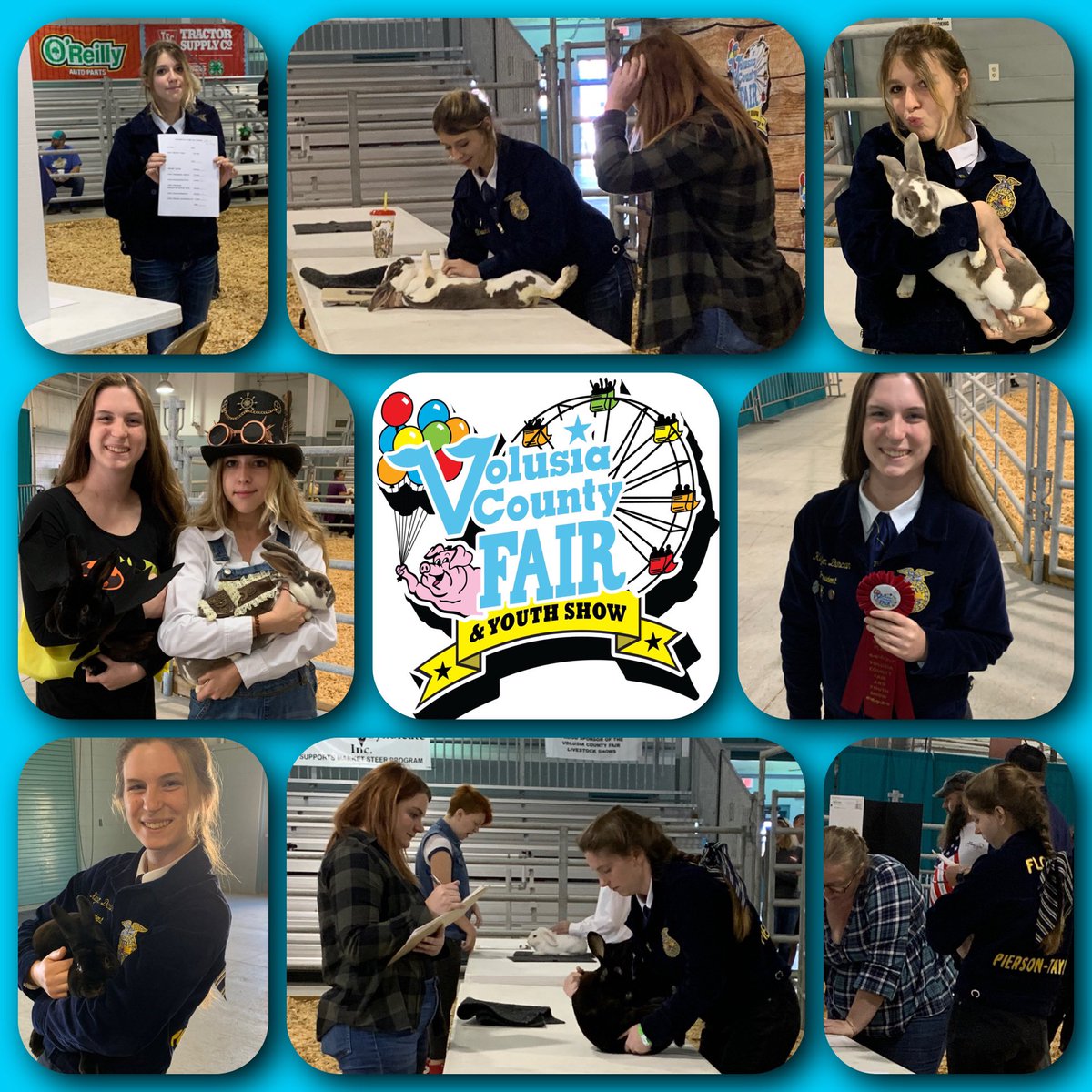 CityAggie's tweet photo. Sunday Final #Day12 @VCFair: Rabbit Show! #TaylorFFA competed in rabbit showmanship, skillathon, &amp; costume contest Great learning experience w our @tayloraged Rex rabbits HS President earned skillathon 2nd Place w 99% score! @TMHSWildcats @WildcatCTE @volusiaschools @VolusiaCTE https://t.co/Ikq8oDZJTG